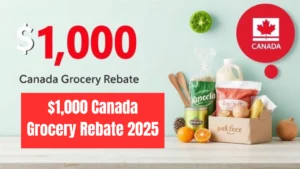 CRA Confirms $1,000 Canada Grocery Rebate for November 2025 – Full Details, Eligibility, and Payment Dates