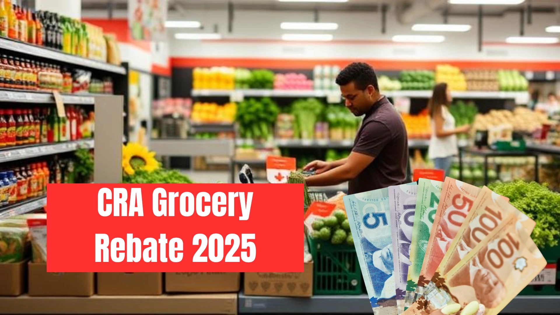 Canada Grocery Rebate 2025: Eligibility, Payment Dates, and Amounts