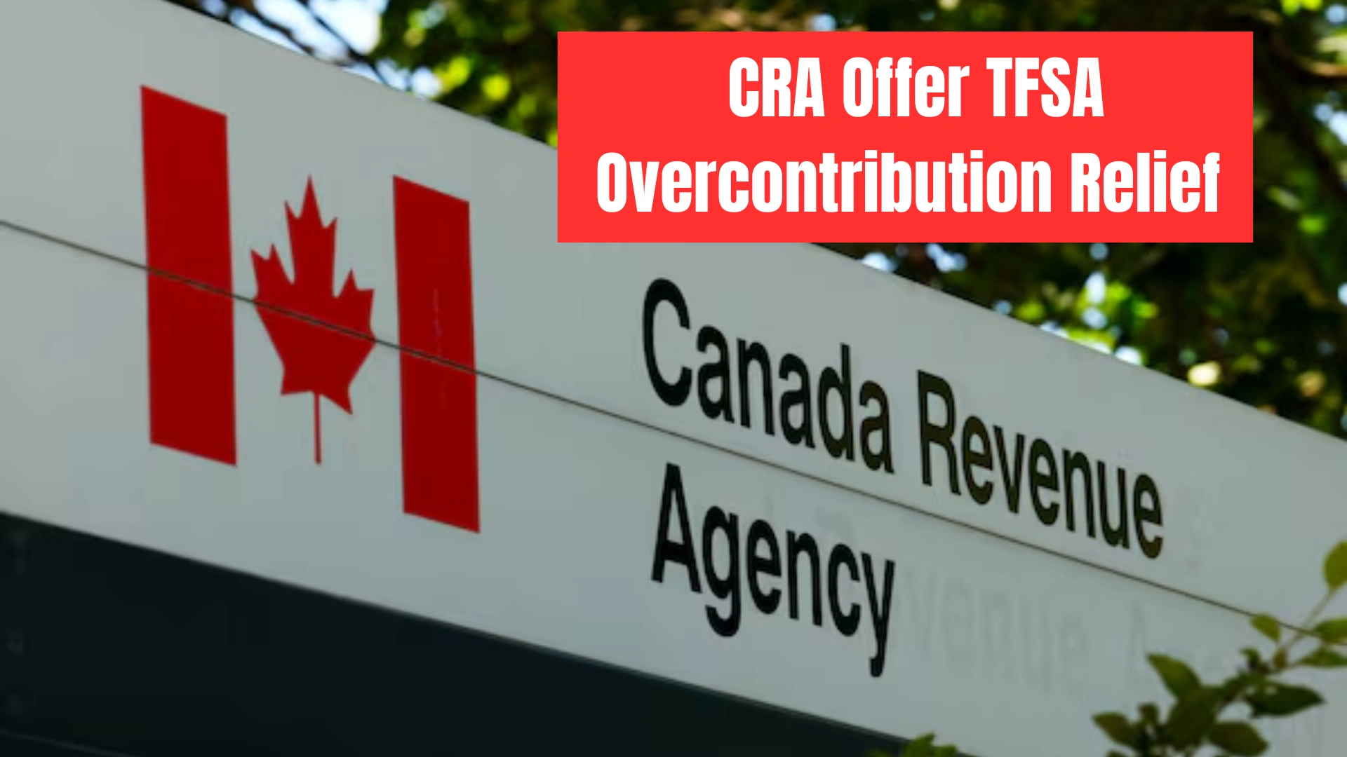 CRA Urged to Offer TFSA Overcontribution Relief Following My Account Glitches